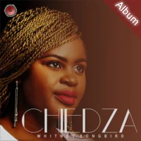 Chiedza Album Cover Art