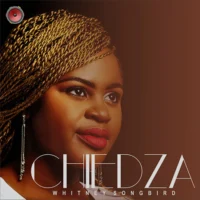 Chiedza Track Cover Art