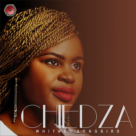 Chiedza Track Cover Art